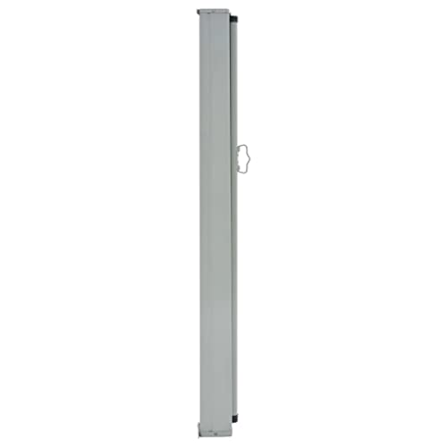 vidaXL Seitenmarkise 120×300 cm Braun - 8